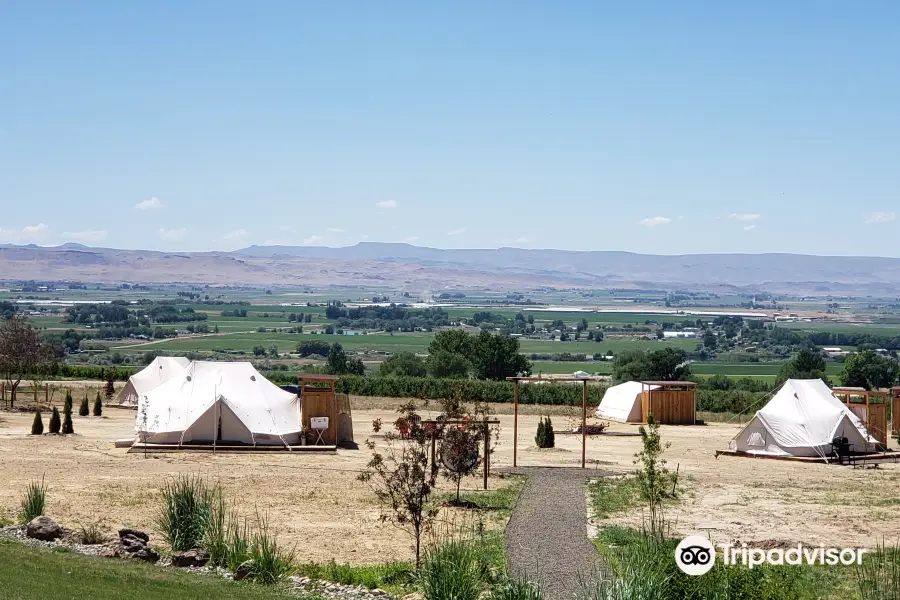 Sawtooth Winery & Tasting Room