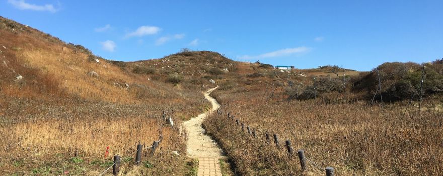 이부키 산