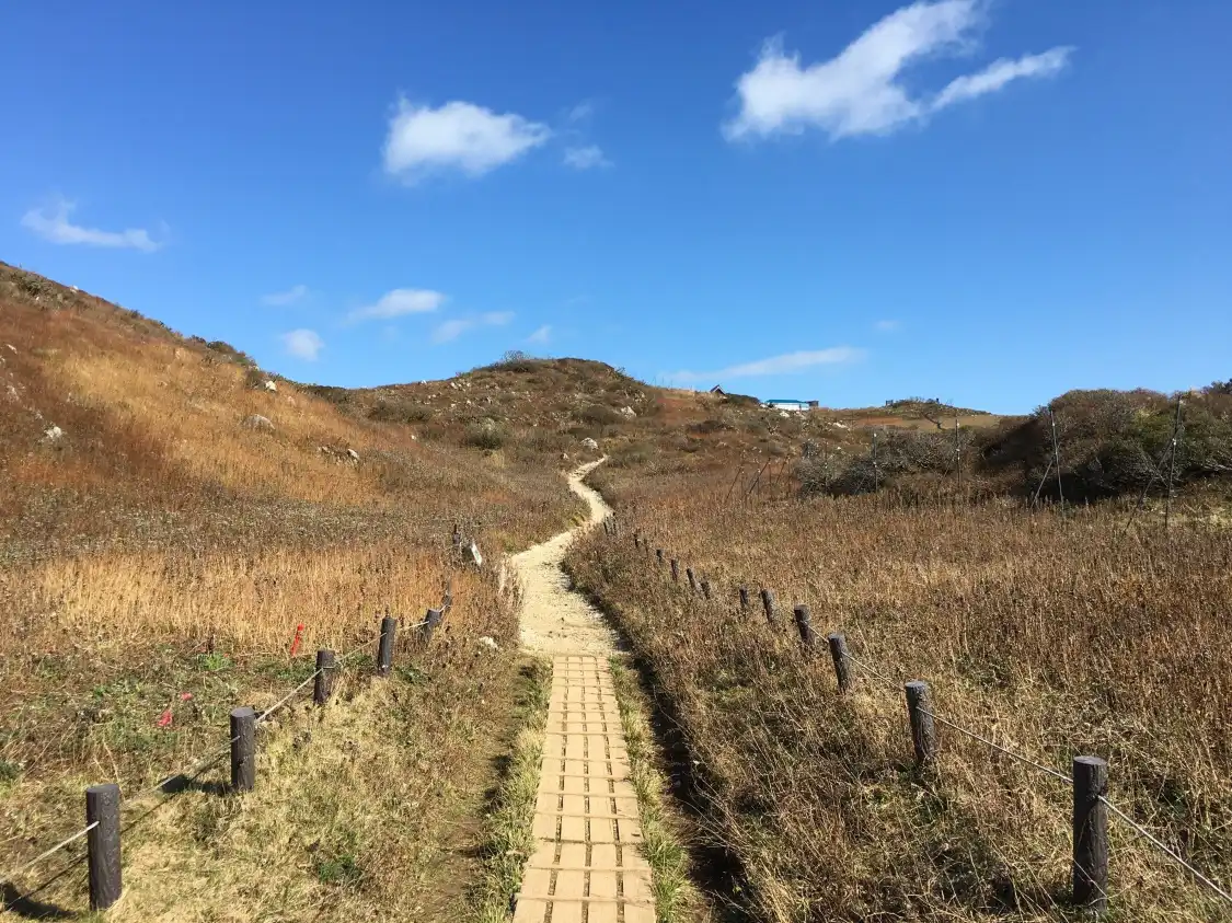 Hotels near Mount Ibuki