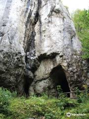 Upper Cave Wierzchowska