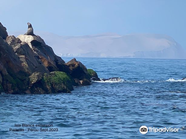 Compare 1 airports near Paracas