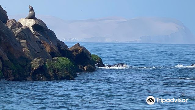 Embarcadero Islas Ballestas