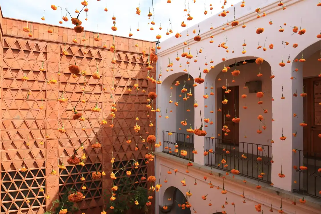 Hotels near Museo Textil de Oaxaca