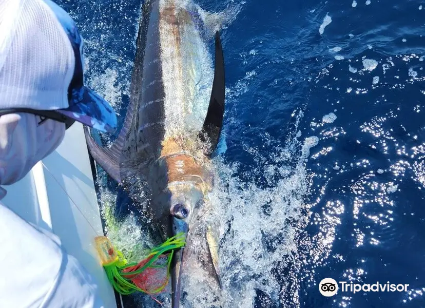 Tamarindo Sportfishing