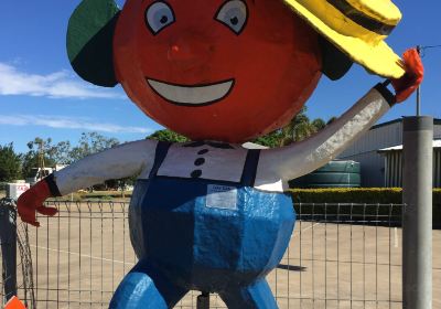 Gayndah's Big Orange