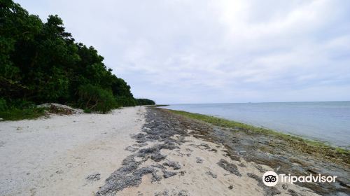 カイジ浜 (皆治浜)