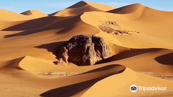 Algerian Sahara