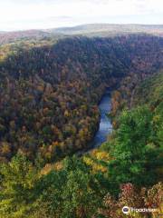 Pine Creek Gorge