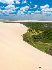 Parco nazionale di Jericoacoara