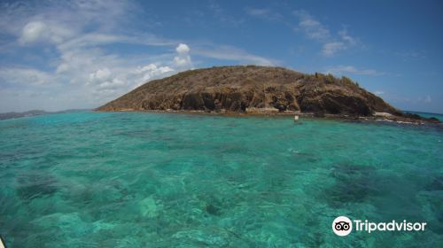 Buck Island Reef National Monument