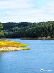 West Barwon Reservoir