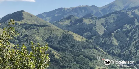 Kok-Zhailyau
