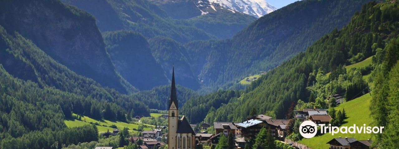 Zell am See District데이 투어