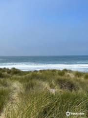 Tolowa Dunes State Park