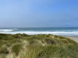 Tolowa Dunes State Park