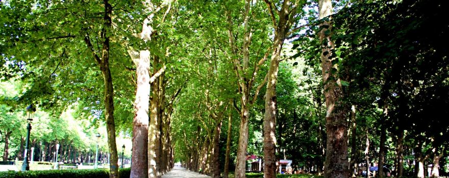 Parc Elisabeth