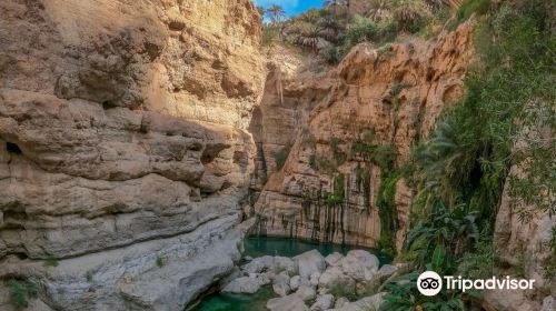 Wadi Tiwi