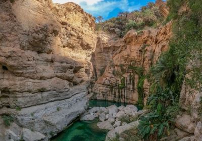 Wadi Tiwi