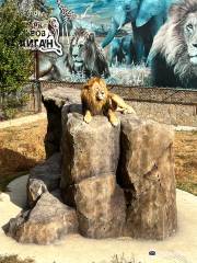 Taigan Lions Park
