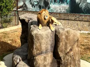 Taigan Lions Park