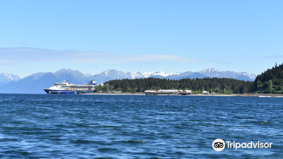 Hometown Charters