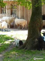 Wild- und Freizeitpark Höllohe