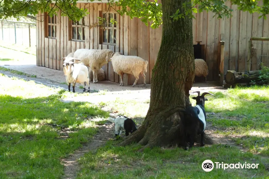 Wild- und Freizeitpark