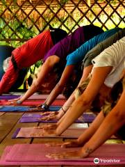 Banteay Srey Yoga Studio