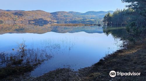 Lake Palcje