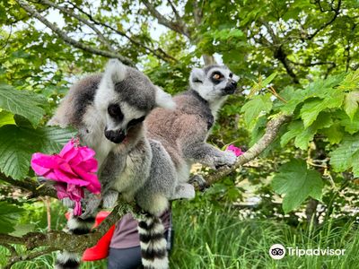 Jersey Zoo