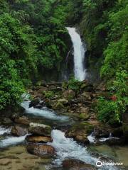 Catarata Gallito de las Rocas