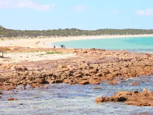 Port Hughes Jetty