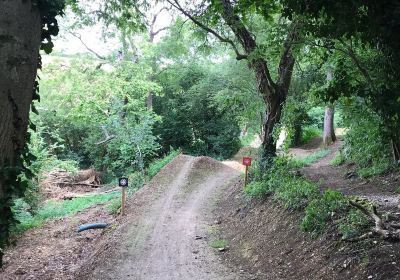 Isle of Wight Mountain Bike Centre Trail