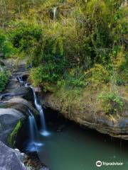 parc national de Pha Taem