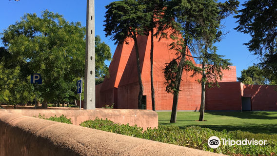 Casa Das Historias - Paula Rego