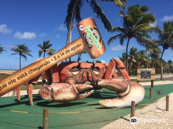 Helsinki–Aracaju lento