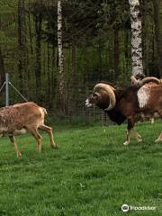 Wildpark Bruderhaus Winterthur