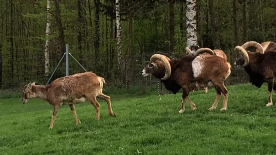 Wildpark Bruderhaus