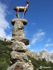 Mirador del Tombo