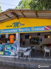 Divecenter Merlin S.R.L.