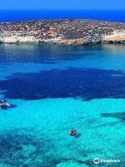 Blue Dolphins Diving Lampedusa