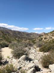 Santa Rosa and San Jacinto Mountains National Monument Visitor Center