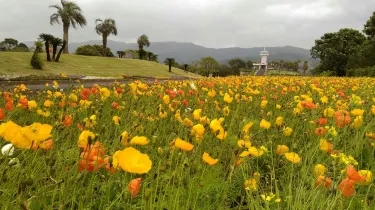 Kirishimagaoka Park Kanoya otelleri