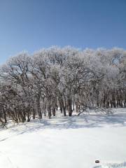 딥플 델 리저널 공원