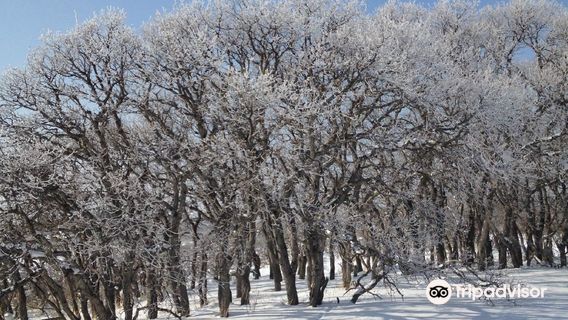 Dimple Dell Regional Park