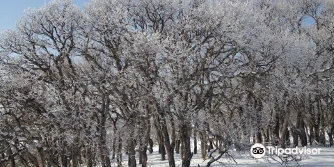 Dimple Dell Regional Park