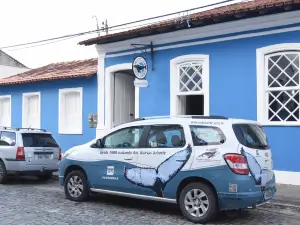 Instituto Baleia Jubarte - Patrocinio Petrobras
