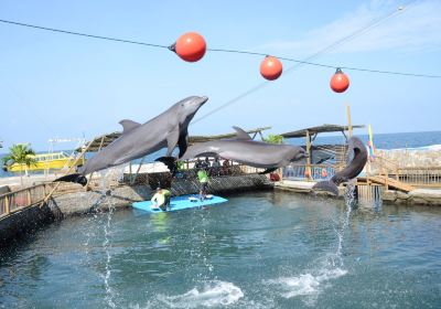 Rodadero Sea Aquarium and Museum