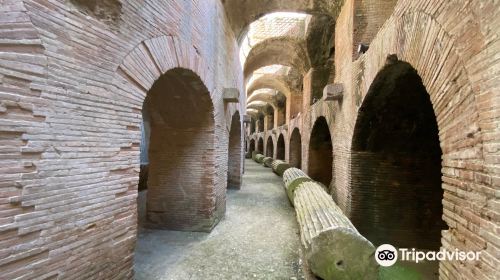 Flavian Amphitheater