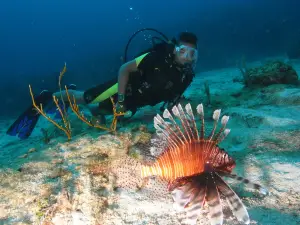 ScubaLibre Varadero